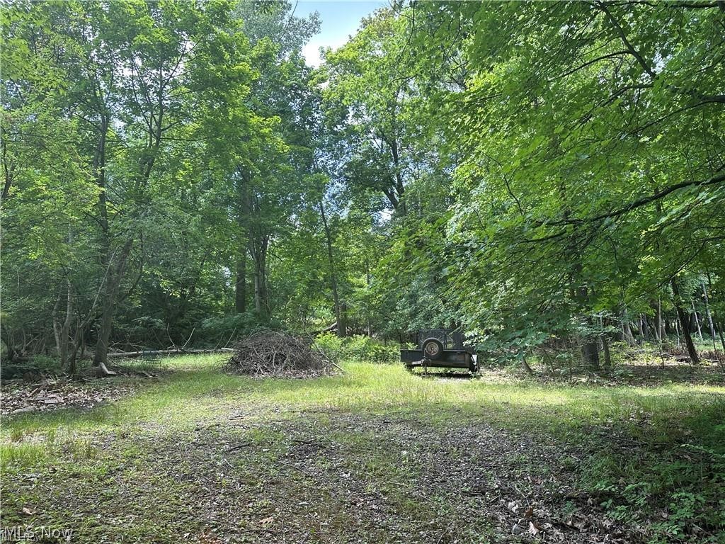 Belleau Wood Drive Akron OH 44303