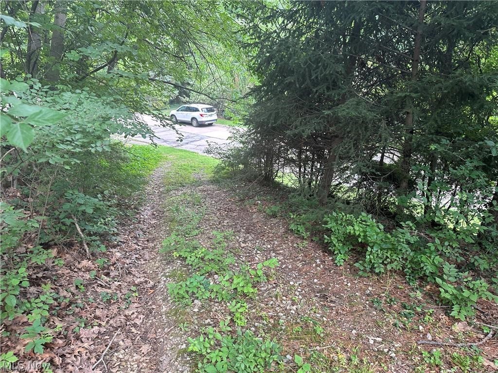 Belleau Wood Drive Akron OH 44303