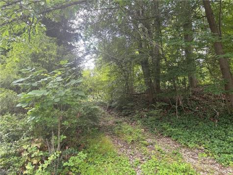 Belleau Wood Drive Akron OH 44303