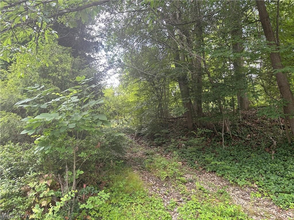 Belleau Wood Drive Akron OH 44303