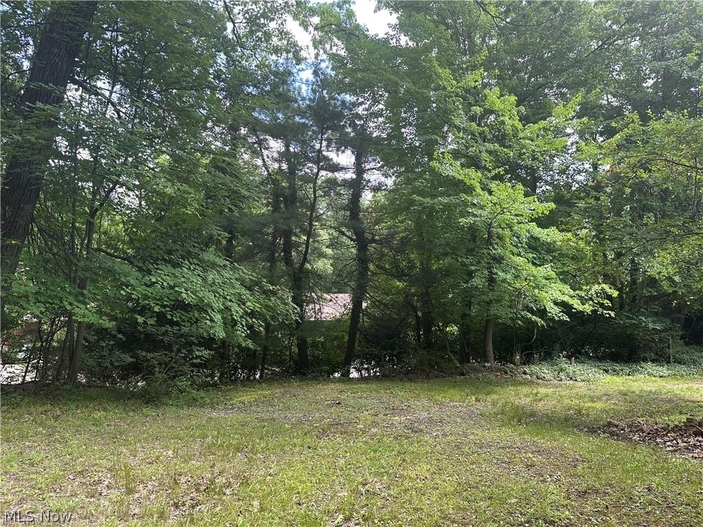 Belleau Wood Drive Akron OH 44303