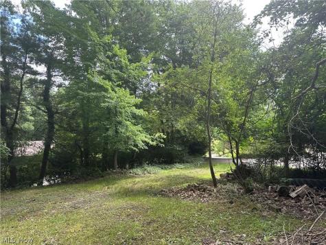 Belleau Wood Drive Akron OH 44303