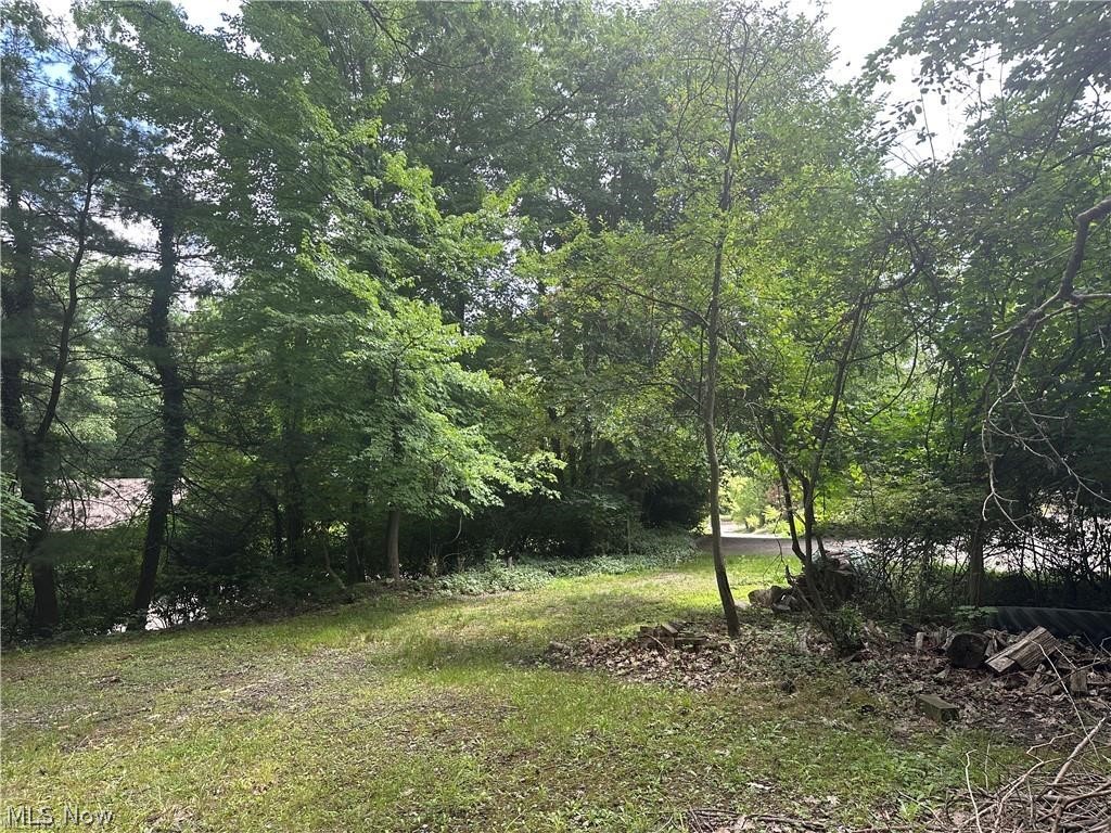 Belleau Wood Drive Akron OH 44303
