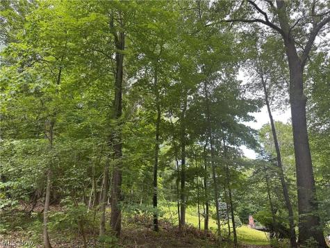 Belleau Wood Drive Akron OH 44303