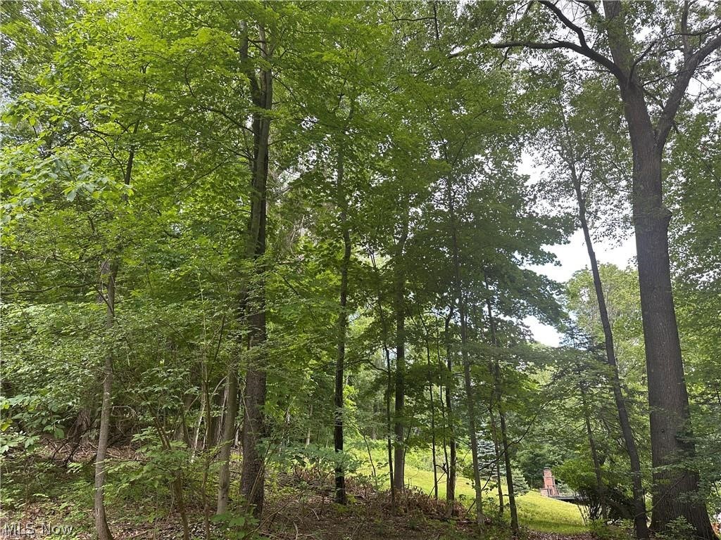 Belleau Wood Drive Akron OH 44303