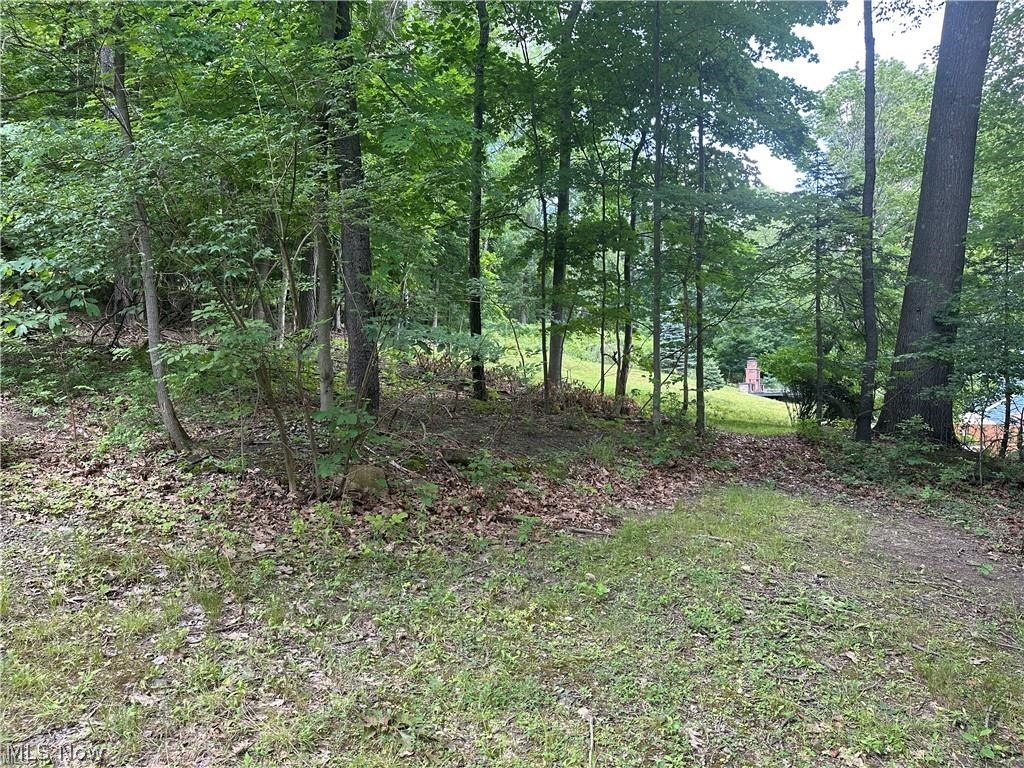 Belleau Wood Drive Akron OH 44303
