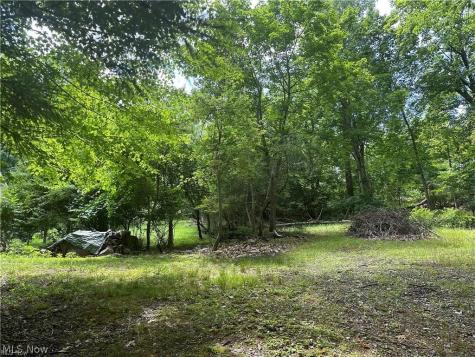 Belleau Wood Drive Akron OH 44303