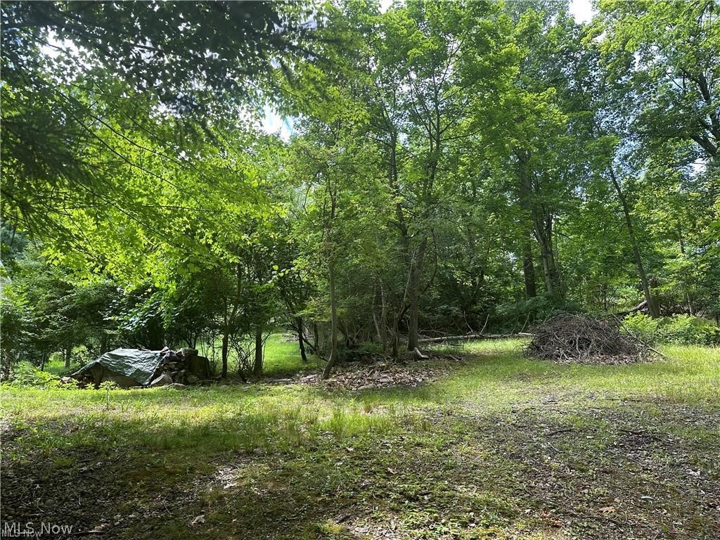 Belleau Wood Drive Akron OH 44303