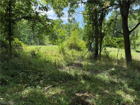 6960 Grove Road Clinton OH 44216