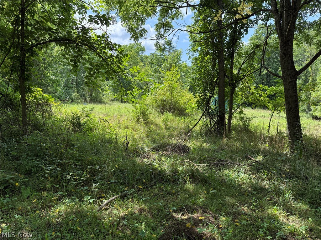 6960 Grove Road Clinton OH 44216