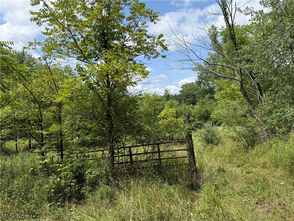 6960 Grove Road Clinton OH 44216