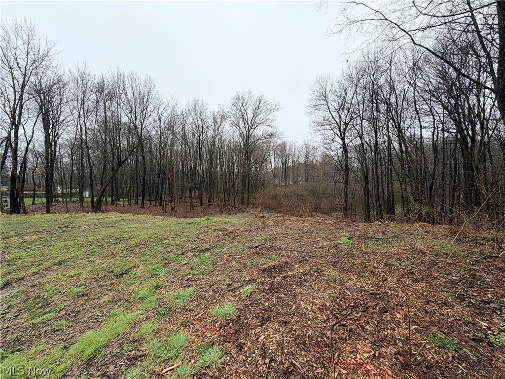 1422 Jacobs Lane Kent OH 44240