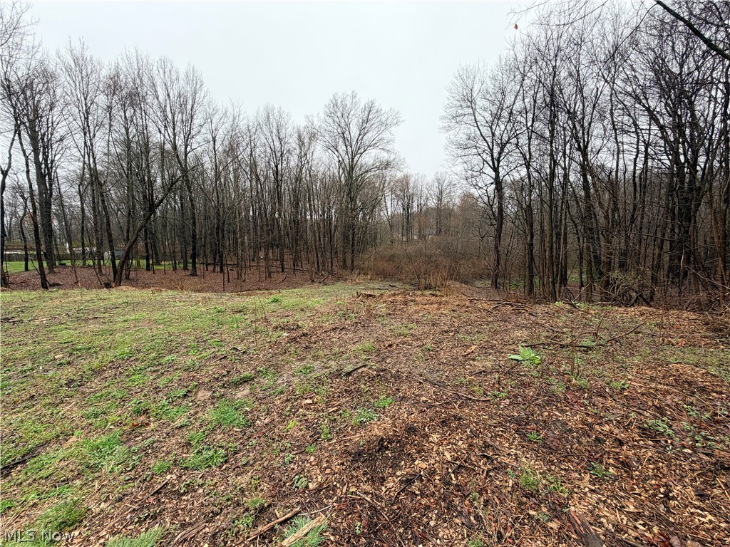 1422 Jacobs Lane Kent OH 44240