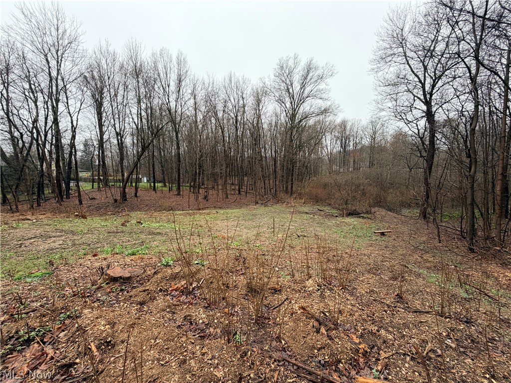1422 Jacobs Lane Kent OH 44240