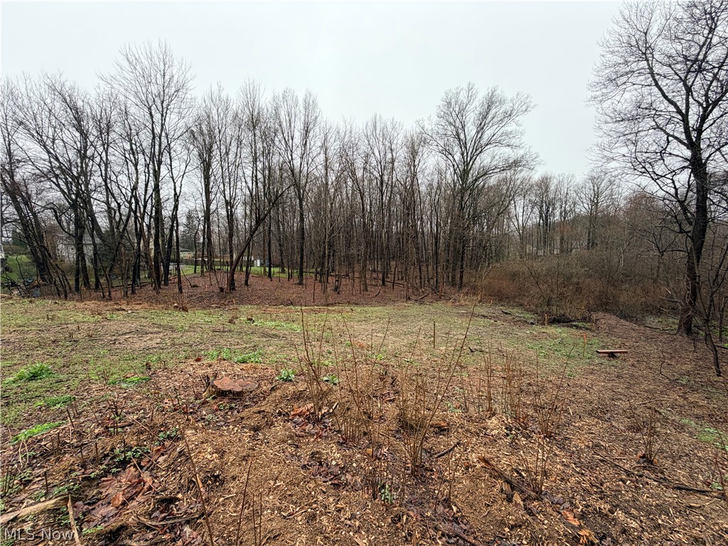 1422 Jacobs Lane Kent OH 44240