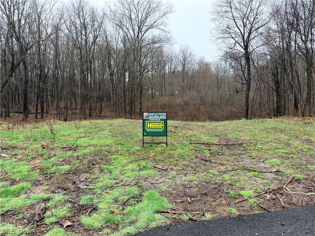 1422 Jacobs Lane Kent OH 44240