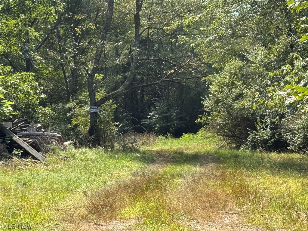 Tomahawk Drive Negley OH 44441