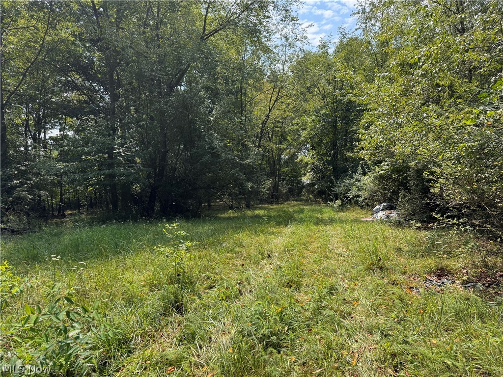 Tomahawk Drive Negley OH 44441
