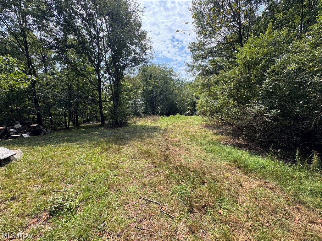 Tomahawk Drive Negley OH 44441