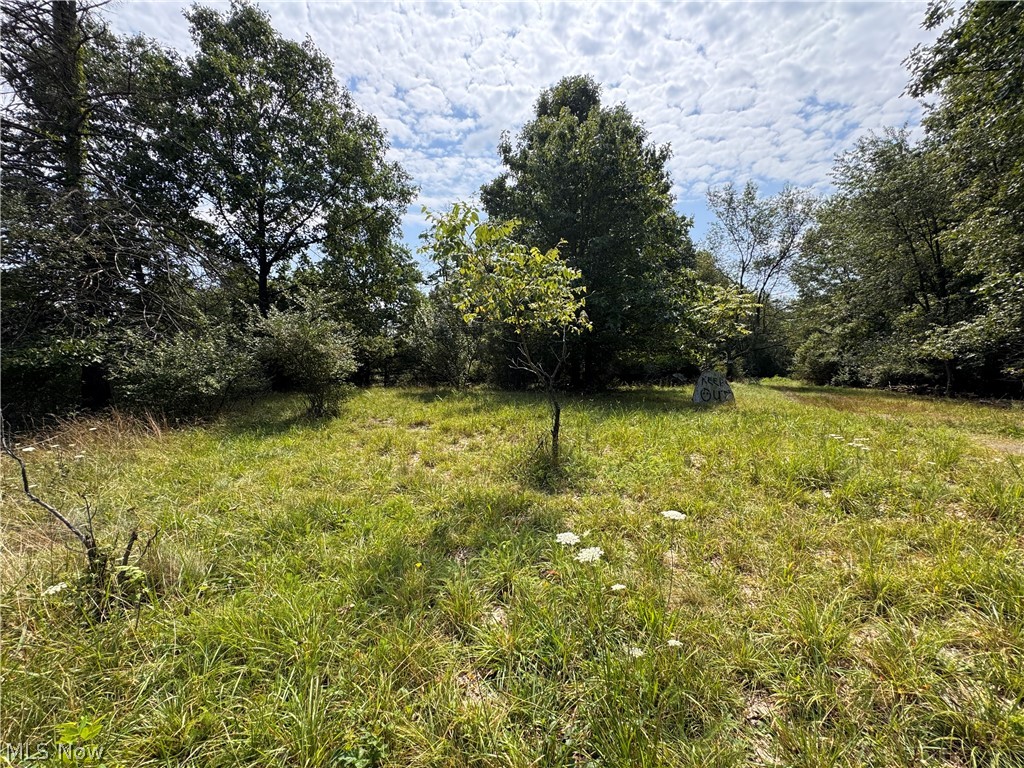 Tomahawk Drive Negley OH 44441
