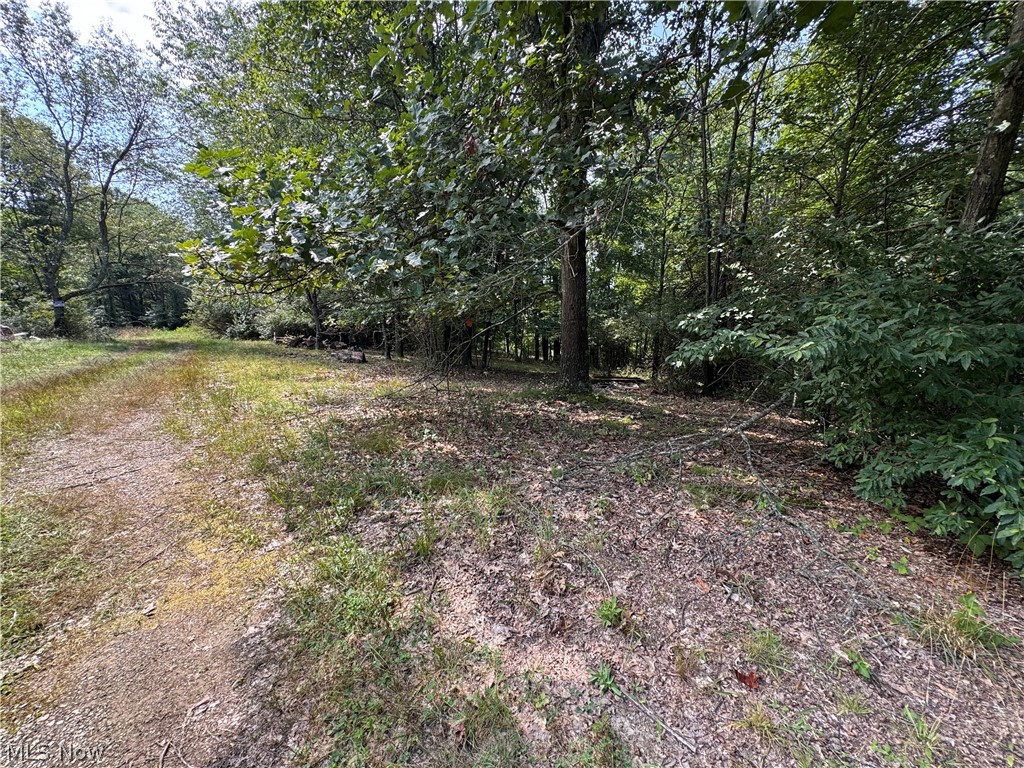 Tomahawk Drive Negley OH 44441