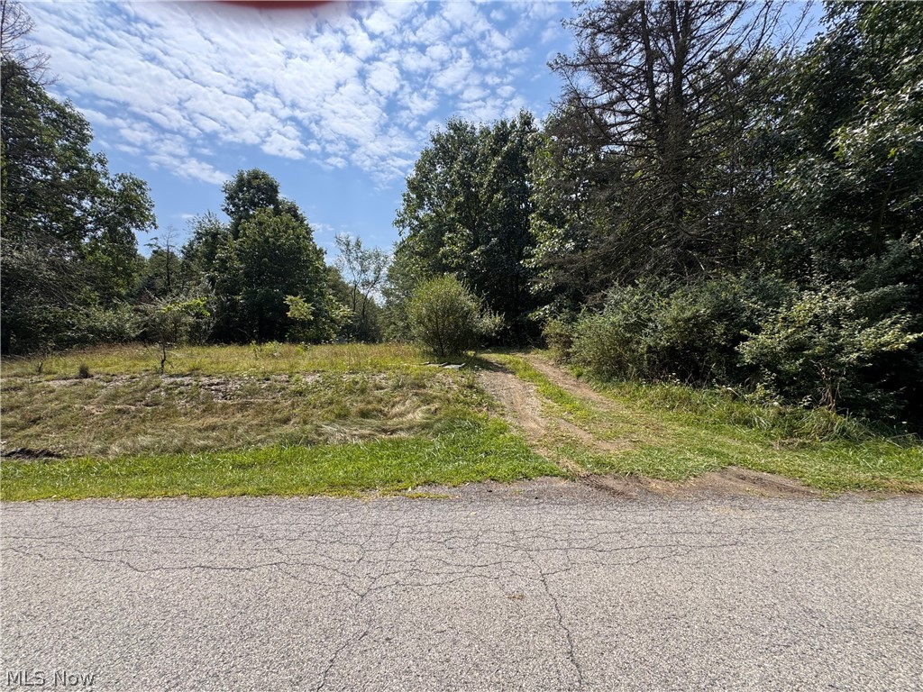 Tomahawk Drive Negley OH 44441