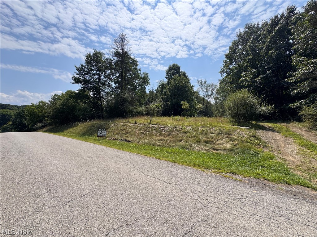 Tomahawk Drive Negley OH 44441