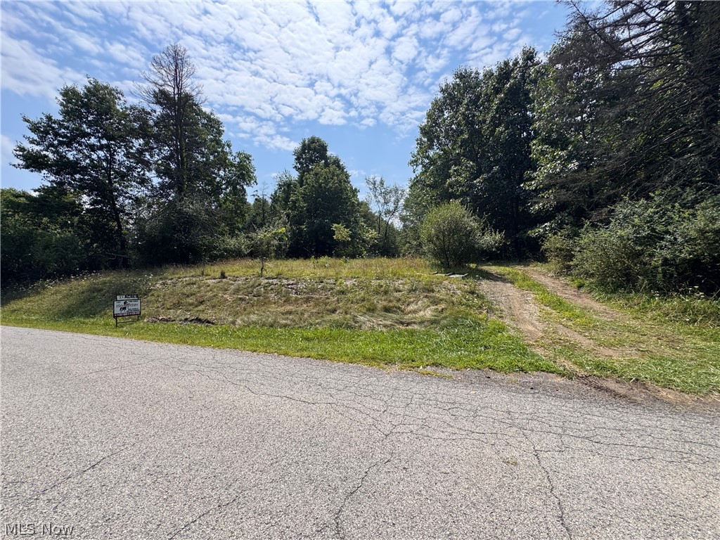 Tomahawk Drive Negley OH 44441
