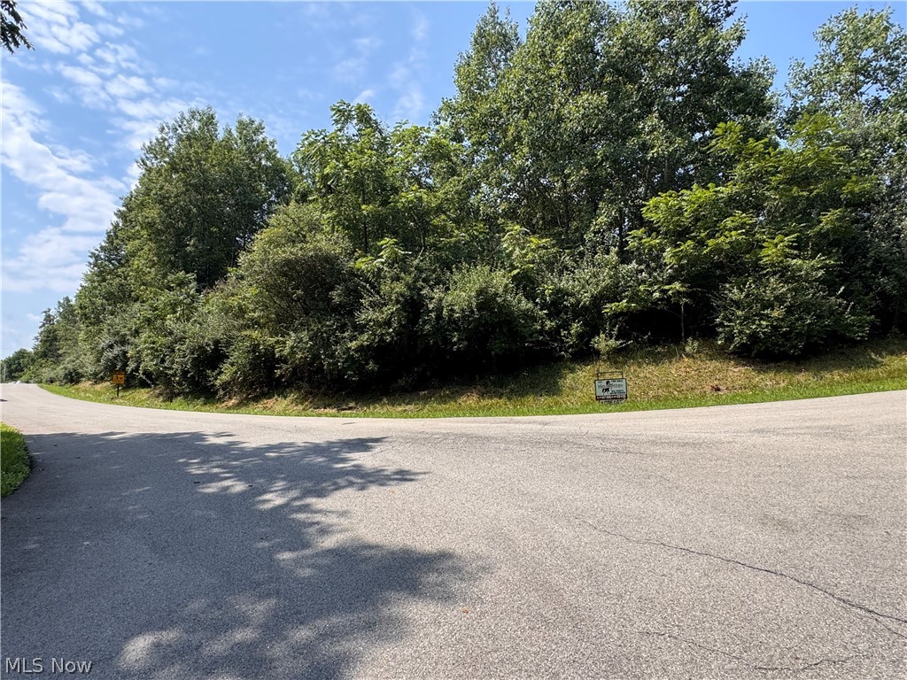 Tomahawk Drive Negley OH 44441