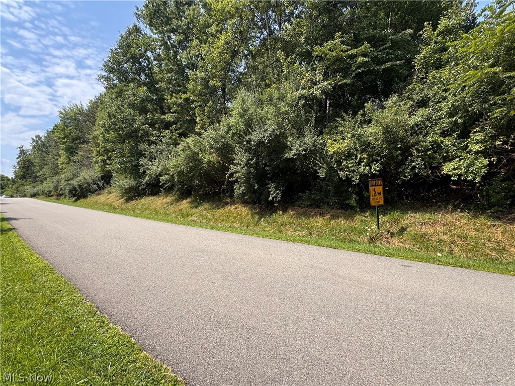 Tomahawk Drive Negley OH 44441