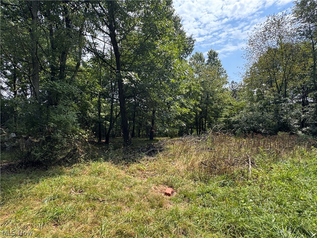 Tomahawk Drive Negley OH 44441
