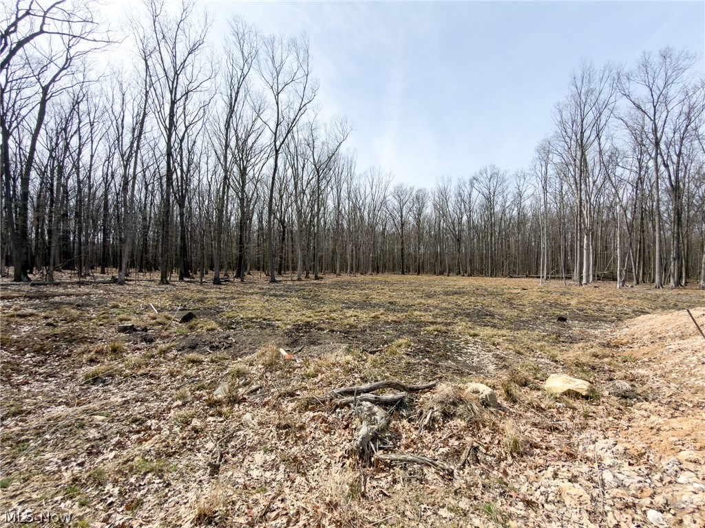 4216 Ridgeview Drive Vermilion OH 44089