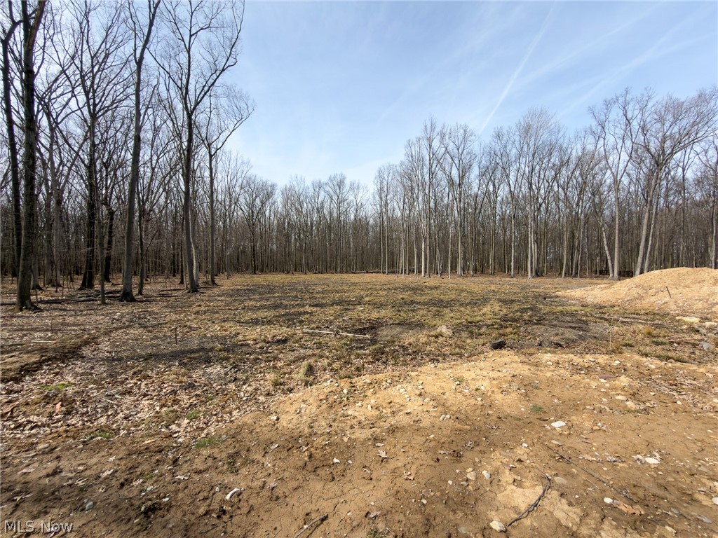 4216 Ridgeview Drive Vermilion OH 44089