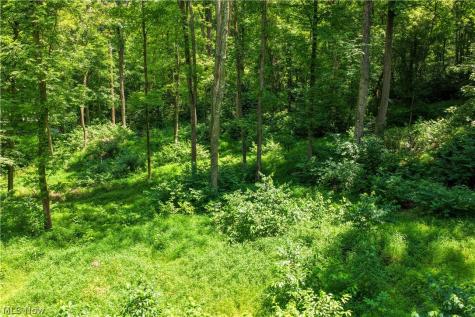 0 Longacre Street Marietta OH 45750