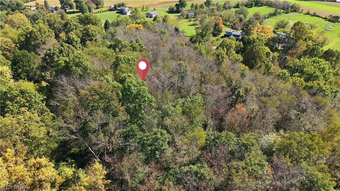 41096 State Route 517 Lisbon OH 44432