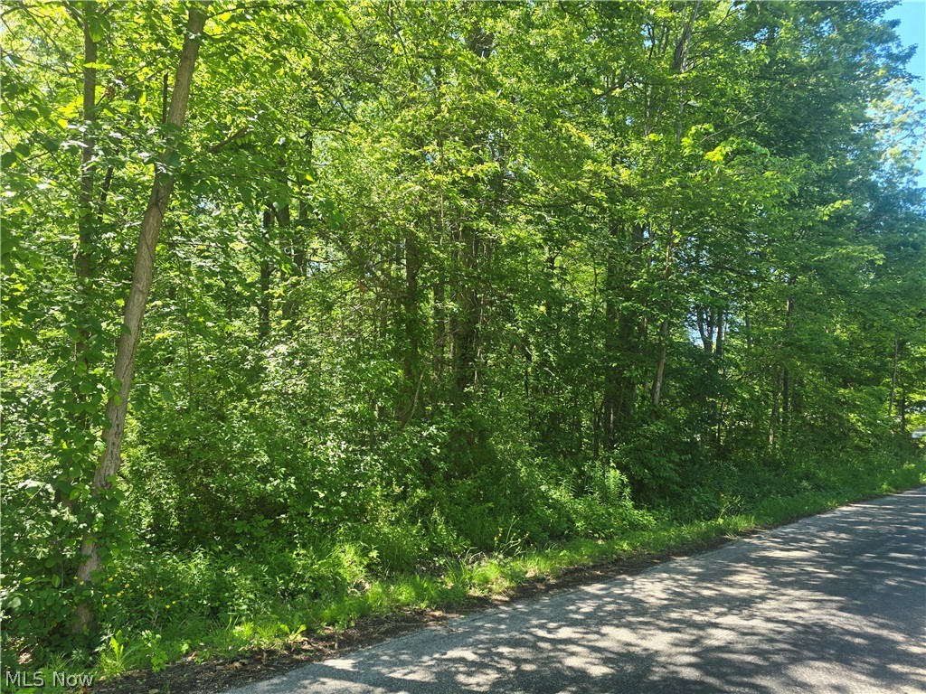 Shadyside Avenue Saybrook OH 44004