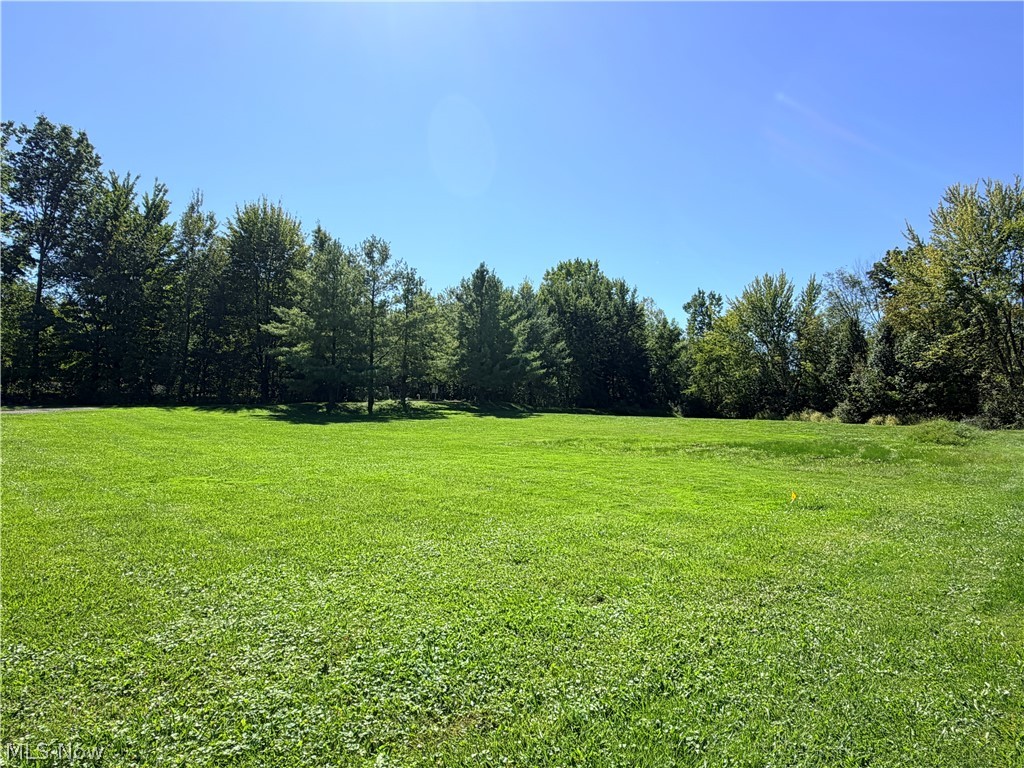 7 Tami Court Cortland OH 44410