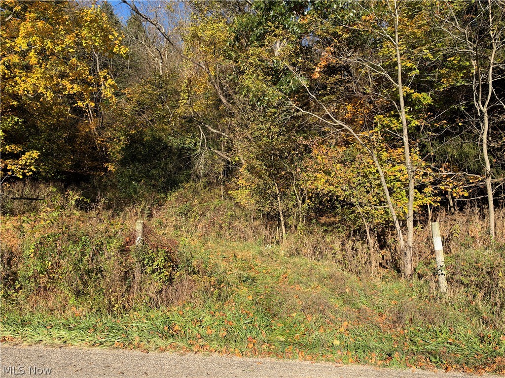 9239 Angel Valley Road SW Stone Creek OH 43840