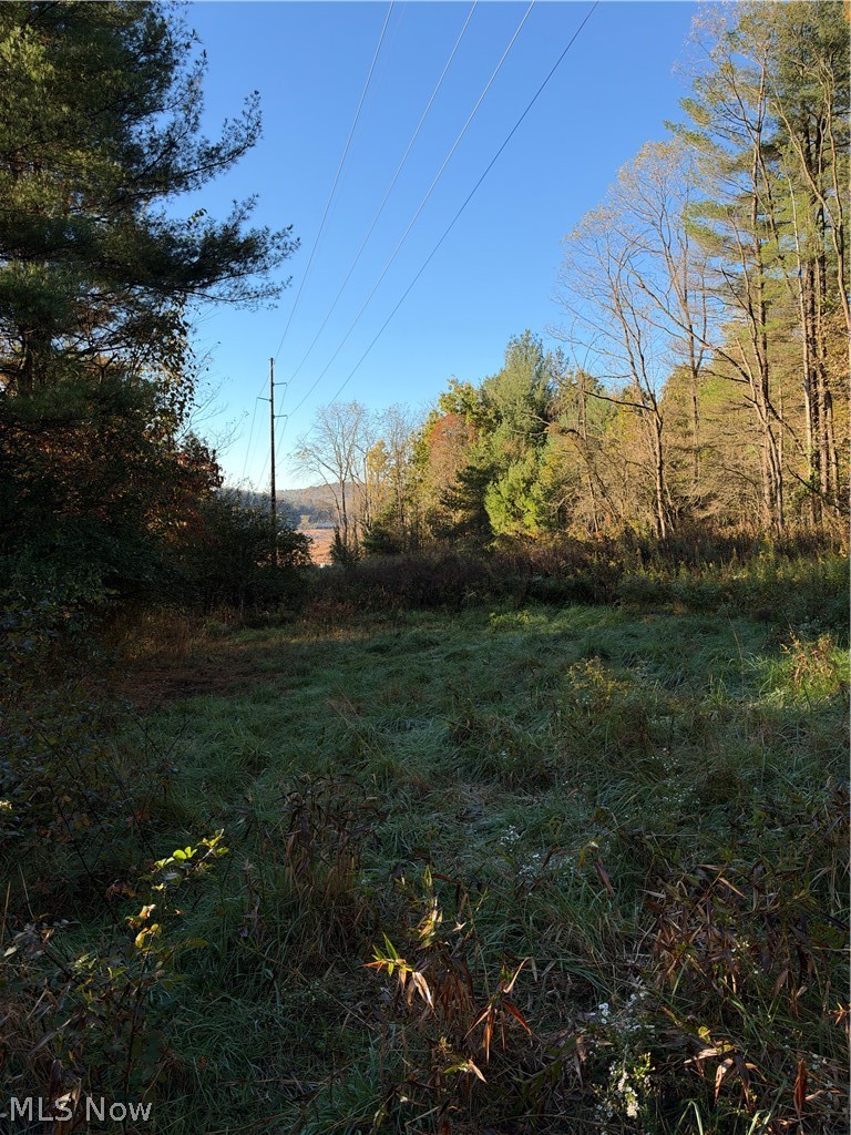 9239 Angel Valley Road SW Stone Creek OH 43840