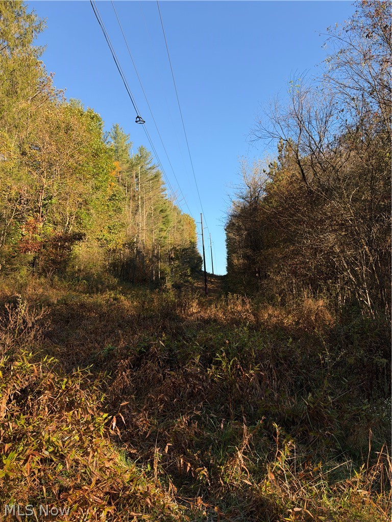9239 Angel Valley Road SW Stone Creek OH 43840