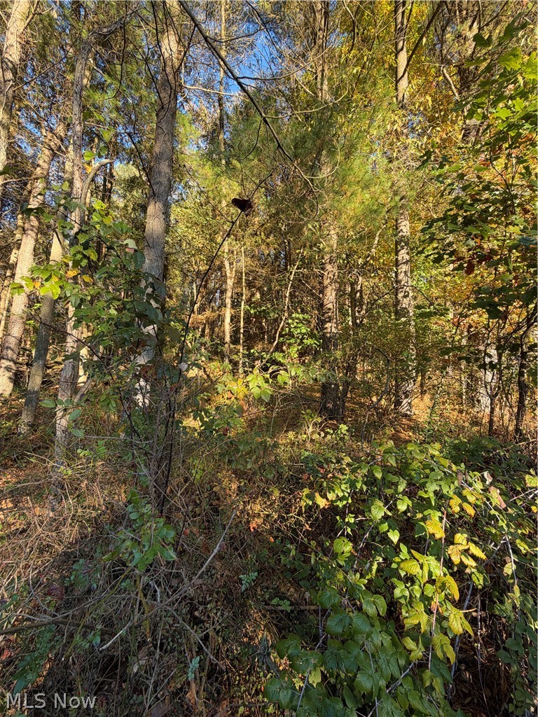 9239 Angel Valley Road SW Stone Creek OH 43840