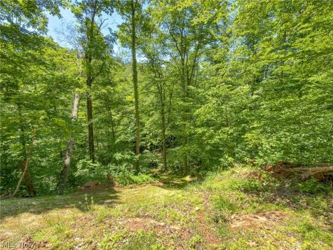 0 Twp Road 366 Marietta OH 45773