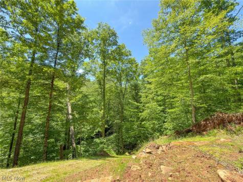 0 Twp Road 366 Marietta OH 45773