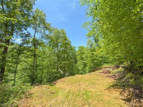 0 Twp Road 366 Marietta OH 45773