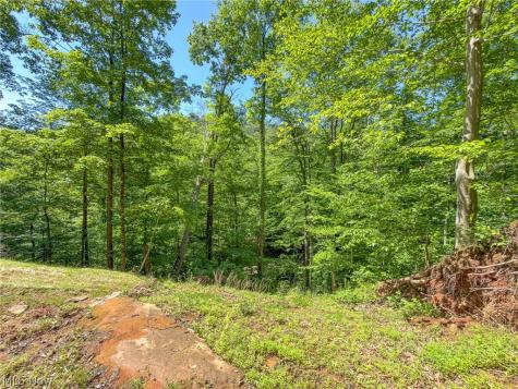 0 Twp Road 366 Marietta OH 45773
