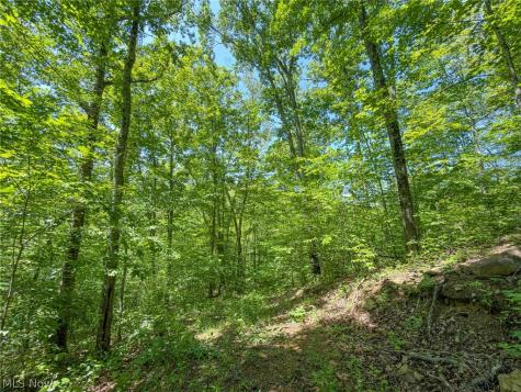 0 Twp Road 366 Marietta OH 45773