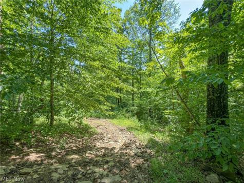 0 Twp Road 366 Marietta OH 45773