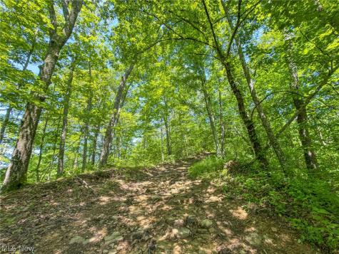 0 Twp Road 366 Marietta OH 45773