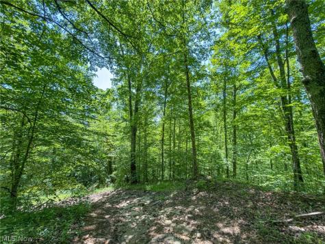 0 Twp Road 366 Marietta OH 45773