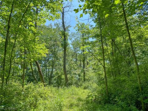 0 Twp Road 366 Marietta OH 45773